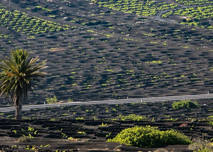 Home2book Relaxing Getaway With Bbq Appartement Orzola